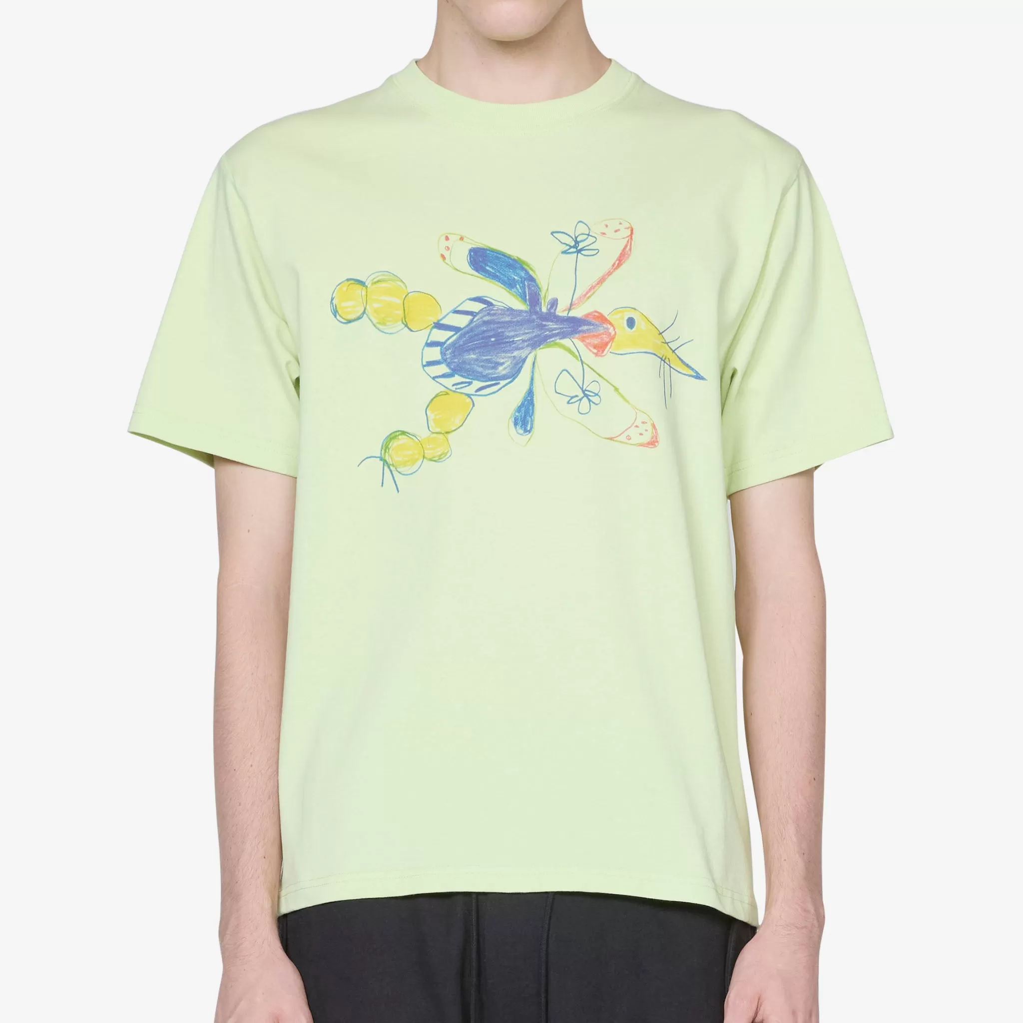 Gentle Short Sleeve T-Shirt Pistachio Dragonfly