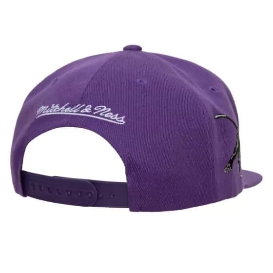 Mitchell & Ness NCAA Foundation Script Prairie View Snapback (Purple)