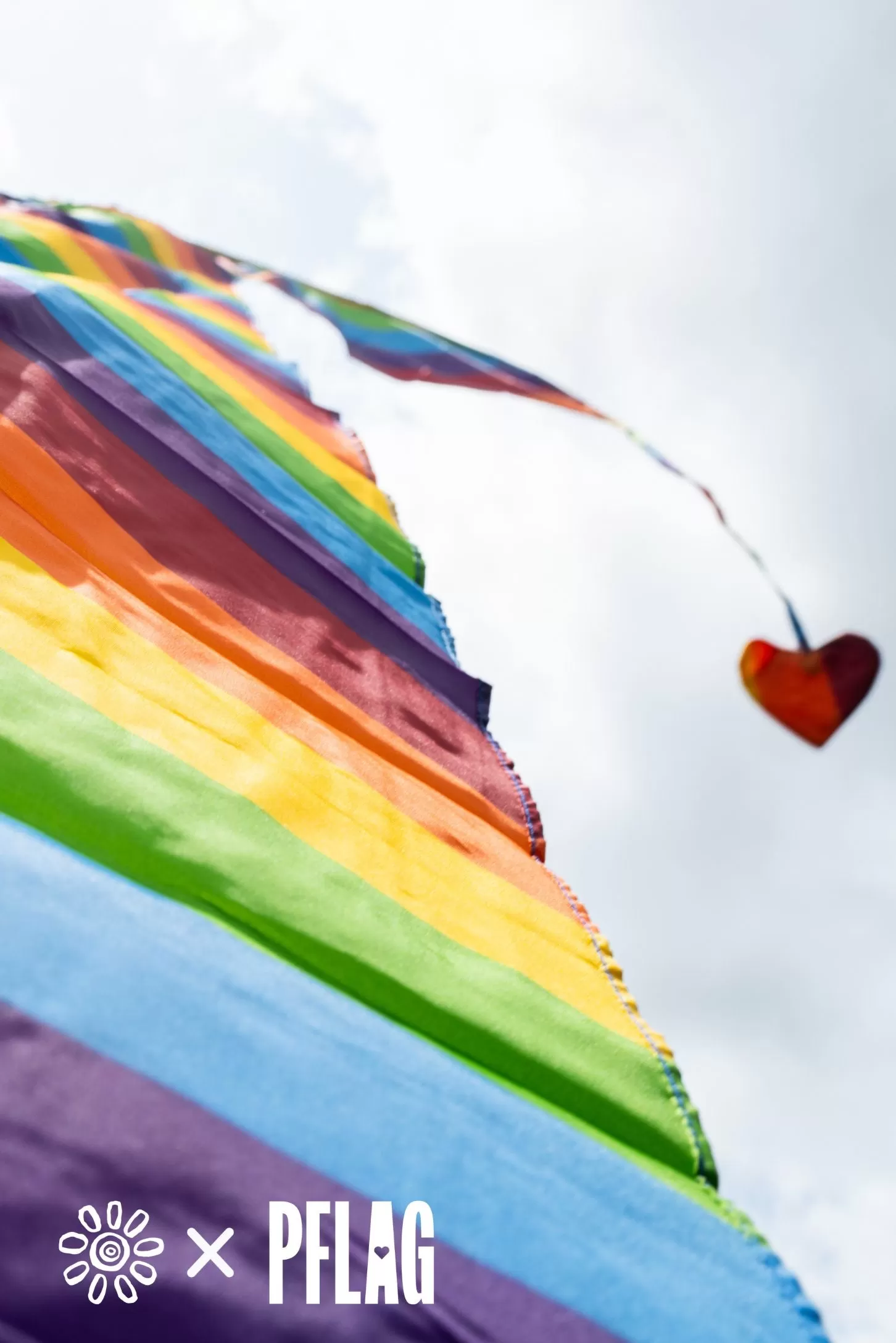 Pelangi Rainbow Flag with Telescoping Pole